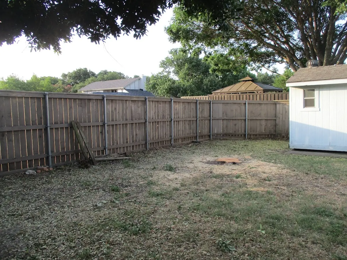 Cleared yard after professional tree removal in Balko